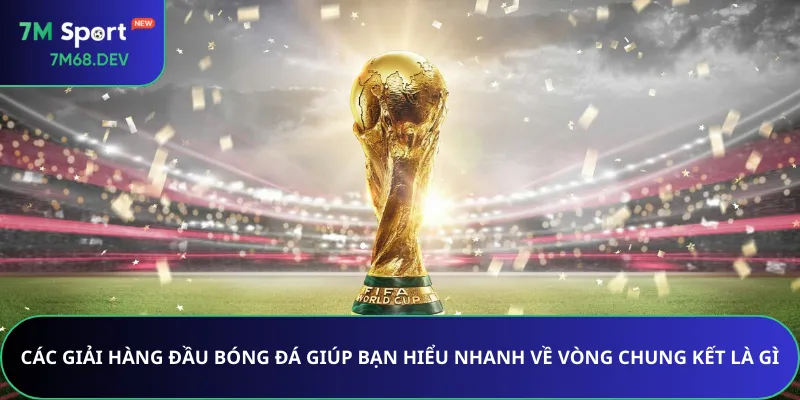 Các giải hàng đầu bóng đá giúp bạn hiểu nhanh về vòng chung kết là gì