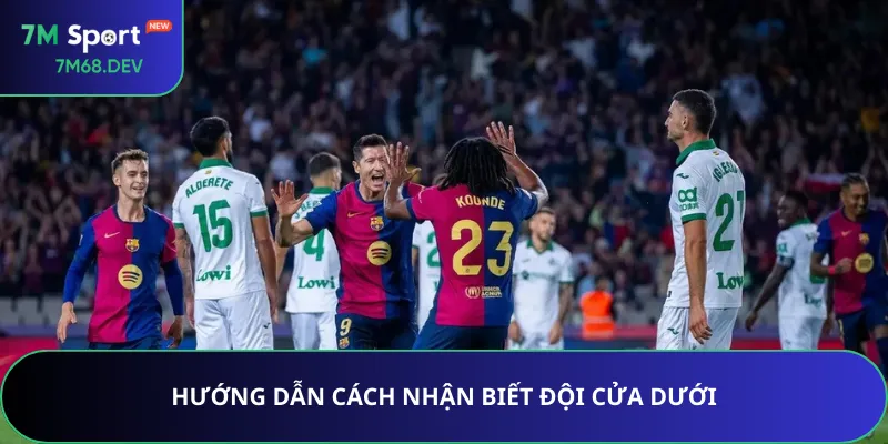 Hướng dẫn cách nhận biết đội cửa dưới