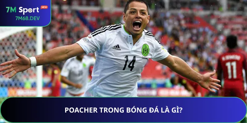 Poacher trong bóng đá là gì?